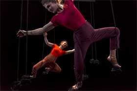 photo Focus danse, Cirque et Image
